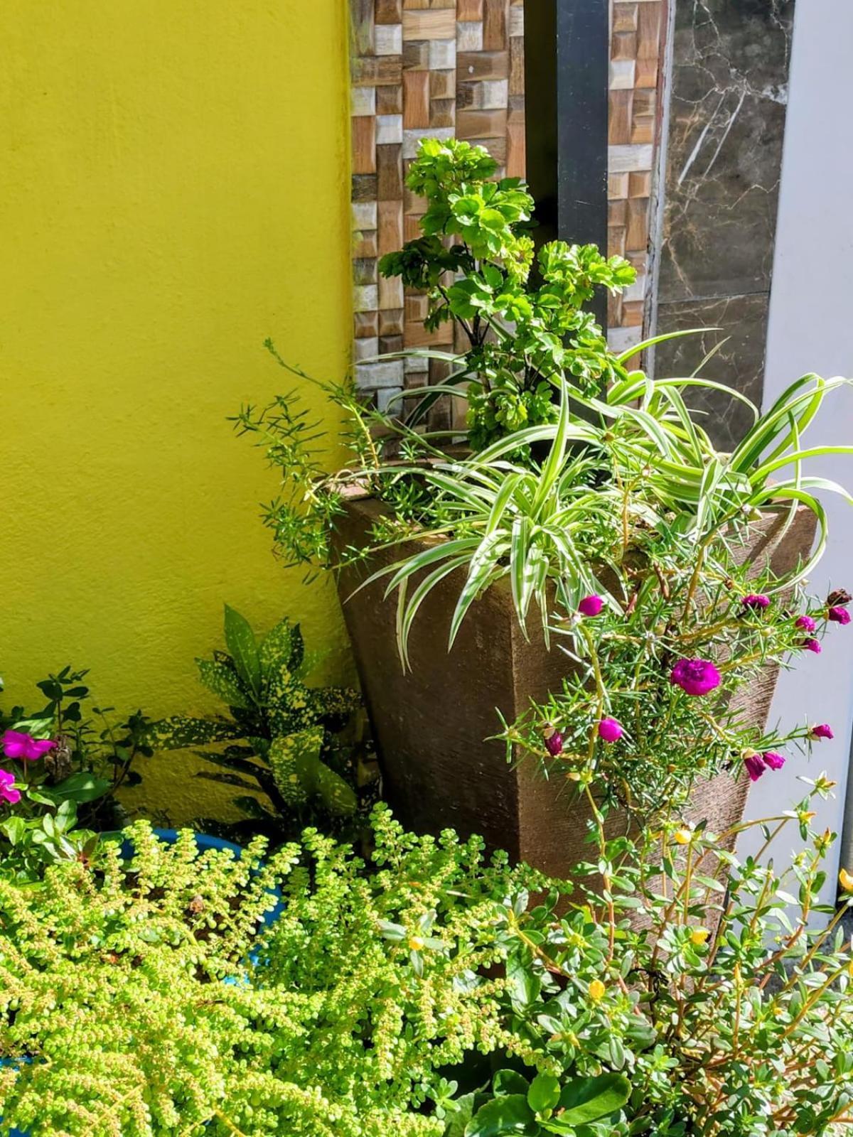 Hospedagem Encantos Da Serra Itatiaia  Buitenkant foto